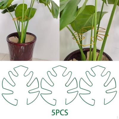 Înverzire şi amenajare – Susținere plante