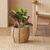 Round Wicker Planter Basket with Handles Indoor Outdoor Plants Rattan Woven Planter Pot Home Living Room Balcony Garden Decorative Flower Pot
