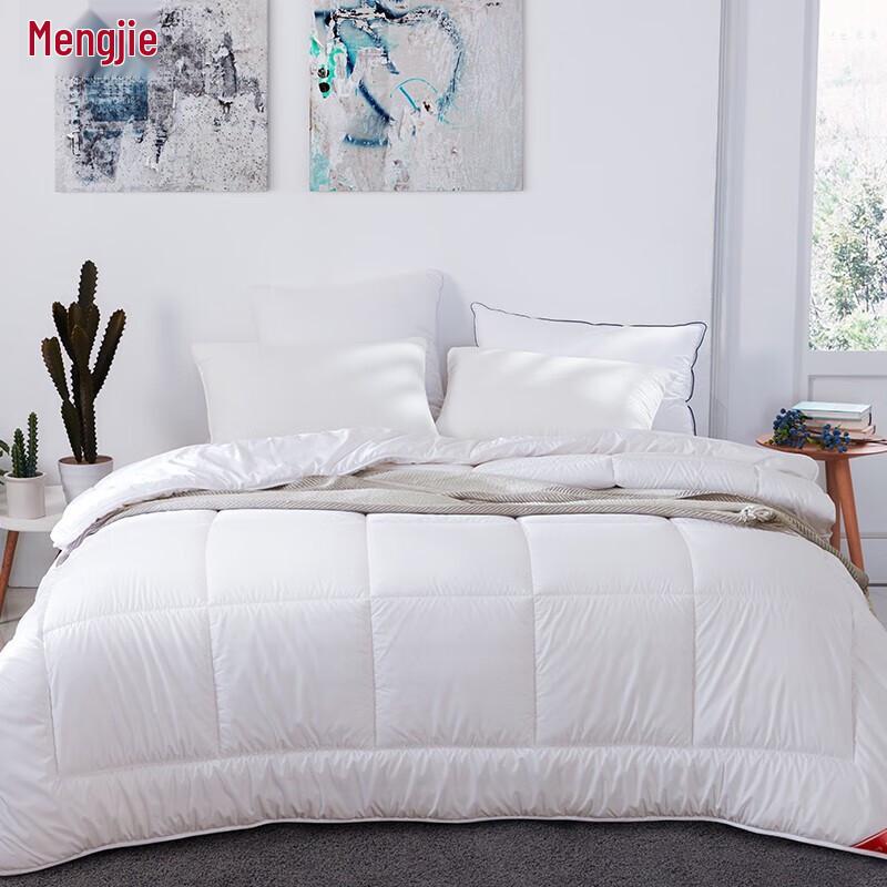 

Mendale Warm Fluffy Fiber Quilt