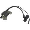 Ignition Coil for 1P64F 1P65F 1P68F 1P70F 5.0HP 6.5HP 135CC 159CC Vertical Shaft Igniter Lawn Mower Magneto Stator Ignitor Parts, YEAACLAB123