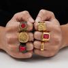 Vnox Punk Red CZ Stone Ring for Men, Gold Plated Stainless Steel Finger Band, Gothic Rock Square Metal Round Ring Jewelry Gifts