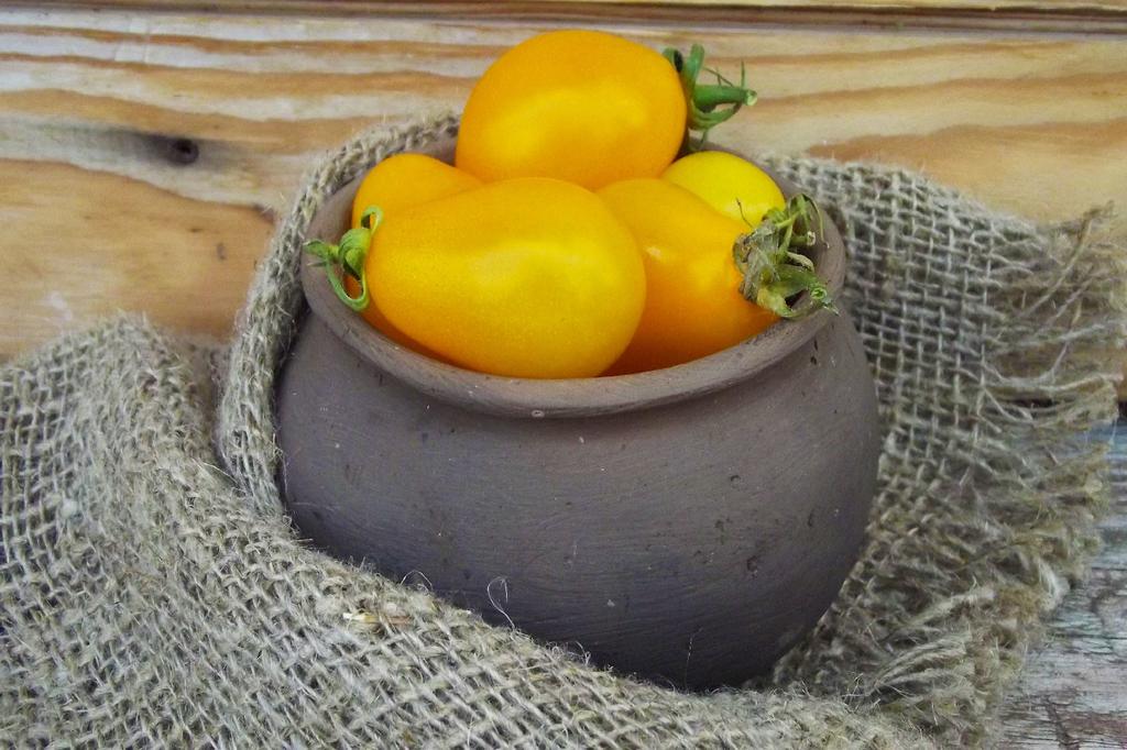 SAFLAX Garden In the Bag - Organic - Tomato - Yellow Submarine - 10 Seeds - With Substrate In a Fitting Stand Up Bag - Solanum Lycopersicum