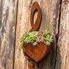 Rustikaler Metall Violinschlüssel Wandpflanzer Herzform Hängend Außen Innen Dekorativer Wandmontierter Blumentopfhalter für Sukkulentenpflanzen