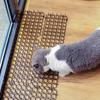 6x Cat Scat Mat Spike Anti-Cat Dog Pest Deterrent Repellent Animal Scarer uk