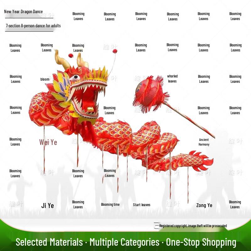 New Year Dragon Dance Performance Set
