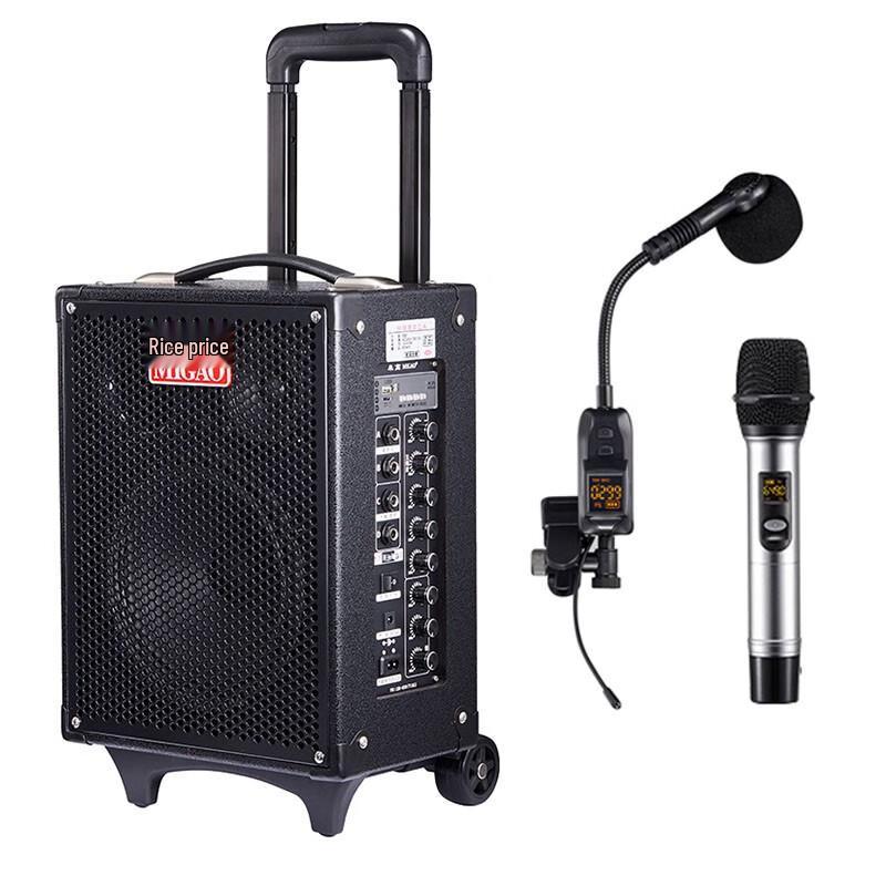 Miga MG820-LI Rechargeable Musical Instrument Speaker
