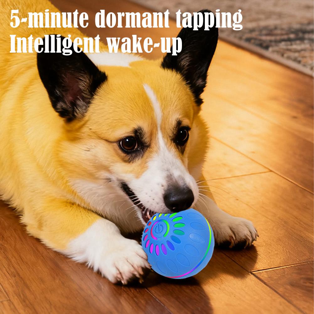 Smart Interactive Pet Toy Ball Led Light Up Electric Rolling Ball For Dogs Cats Automatic Self Rotating Rechargeable Play Tool