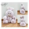 Plush Dog Small Mascot Wedding Cute Stylish Rabbit Goods Sitting Present Gift Birthday Courier 100 [Stream]