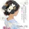 JZOON Haarschmuck für Getrocknete und Solare Beliebter Haarschmuck für Fotos und Japanisch Perfekt für und Set in Weiß und Y1704 Volljährigkeit