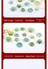 Tourmaline Candy Colored Beads: Small Flower Petals for DIY Crystal Bracelets.