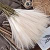 10 Units/Lot 55Cm Cute Decoration Fake Flower Reed Plant Simulated Artificial Pampas Christmas Wedding Party Fluffy Reed Grass