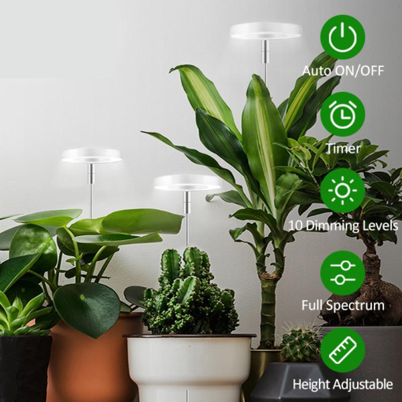 5V Indoor Plants Grow Light Household Full Spectrum Timeable LED Plant Light Height Adjustable Growing Lamp