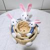 Easter Animal Plush Basket: Jewelry, Candy, & Sundries Organizer for Festive Decor.