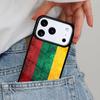 Vintage Lithuania Lithuanian Flag Phone Case for iPhone 17ProMax 12 13 14 15 16e 17 Pro Max Plus Air Cover