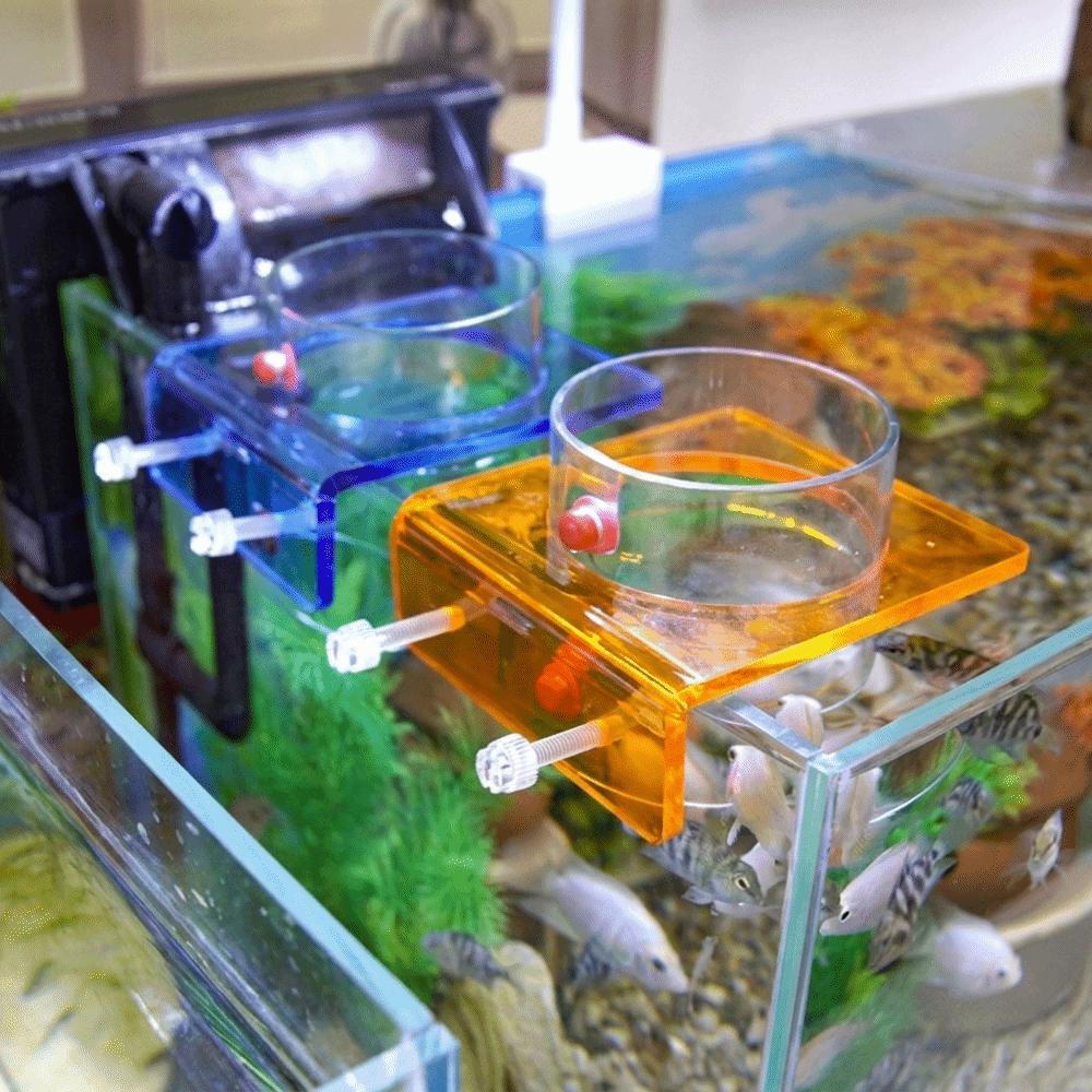 Wall-mounted Fish Tank Feeder Transparent Plastic Fish Feeding Ring Fixed-Point Dispenser Feeding Cup For Shrimp Fishes Snail
