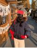 Women’s Short Hooded Windproof Thicken Warm Winter Jacket With Big Fur Lapel