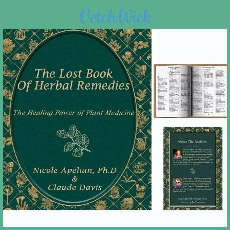 Green Edition The Lost Book Of Herbal Remedies Essential Natural Healing Techniques