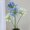 3pcs Artificial African Agapanthus Floral Simulated Plant Stem Flower Arrangement Ornaments European Style Home Wedding Decor