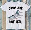 Pigeon Birds Are Not Real Funny Bird Spies Funny Gift Tee T Shirt M1587