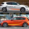 Race Stripe Car Body Decal Sticker - D383