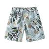 Beach Pants Men'S Printed Five-Point Beach Shorts Loose Beach Pants Quick-Drying Surf Shorts