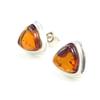 Les Trésors De Lily [I8956] - Amber 'Inspiration' Silver Earrings
