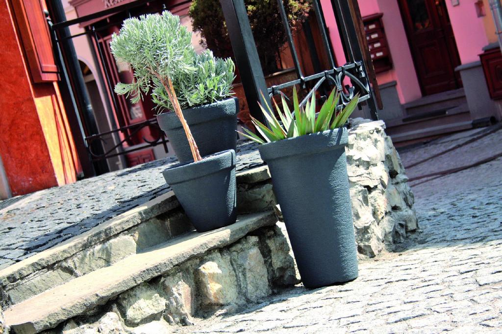 Klassischer DBC40 Runder Blumentopf | Terrakotta