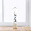 TETSUNAGI Flower Vase (Beige) [Made In Tsubame-Sanjo] Mini Steel and Glass Test Tube Vase, Made In Japan, Ideal for Home Decor, Plant Accessories,