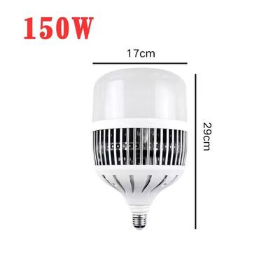 LED-Lampen – LED-Lampen & -Röhren