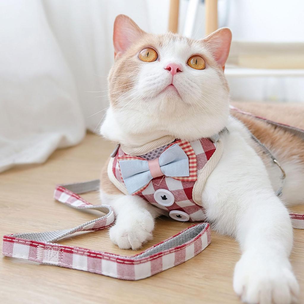 DICOCO Dog Harness for Small Reduces Adjustable Stays In Easy To Put On and Take Cute Bowknot Triple Machine Dolly M Dogs, Anti-Pulling, Head-Free,