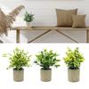 Birthday Gifts Artificial Green Plants Indoor Decorative Plants