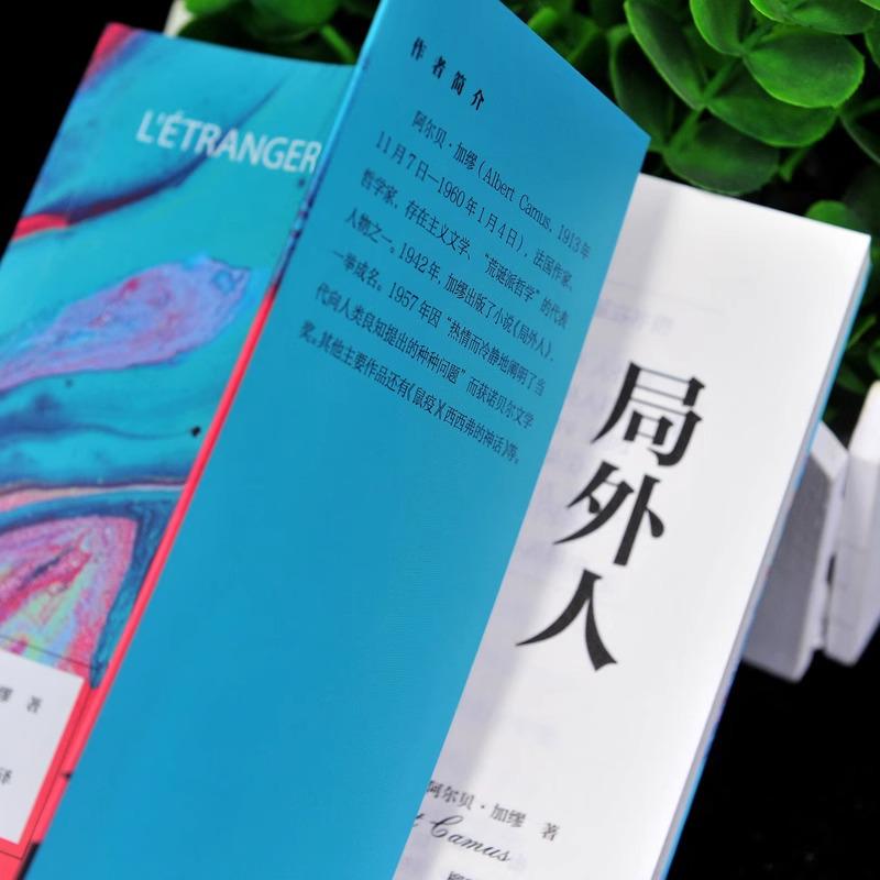 Outsider: Unabridged Translation of a Modern Absurdist Chinese Classic
