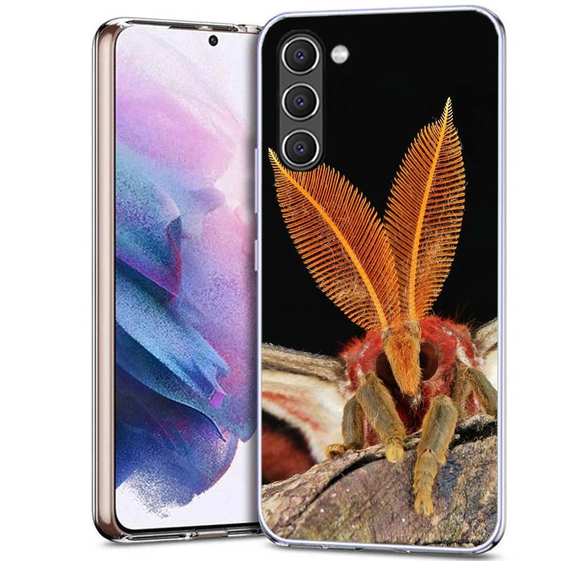 

Moth Macro Phone Case for Samsung A54 A14 A24 A34 A17 A37 A57 A55 A35 A25 A15 A13 A23 A33 A53 A07 A05S A04S A03 A73 Galaxy Note Samsung Note 10