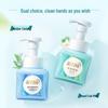 Blue Moon Foaming Antibacterial Hand Wash