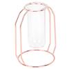 Transparent Hydroponic Plant Vases Flower Pot Tabletop Home Decorations