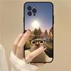 Pet Cat Funny Memes Phone Case For IPhone 16 15 14 11 12 13 Mini Pro XS Max Cover 6 7 8 Plus X Funda Shell