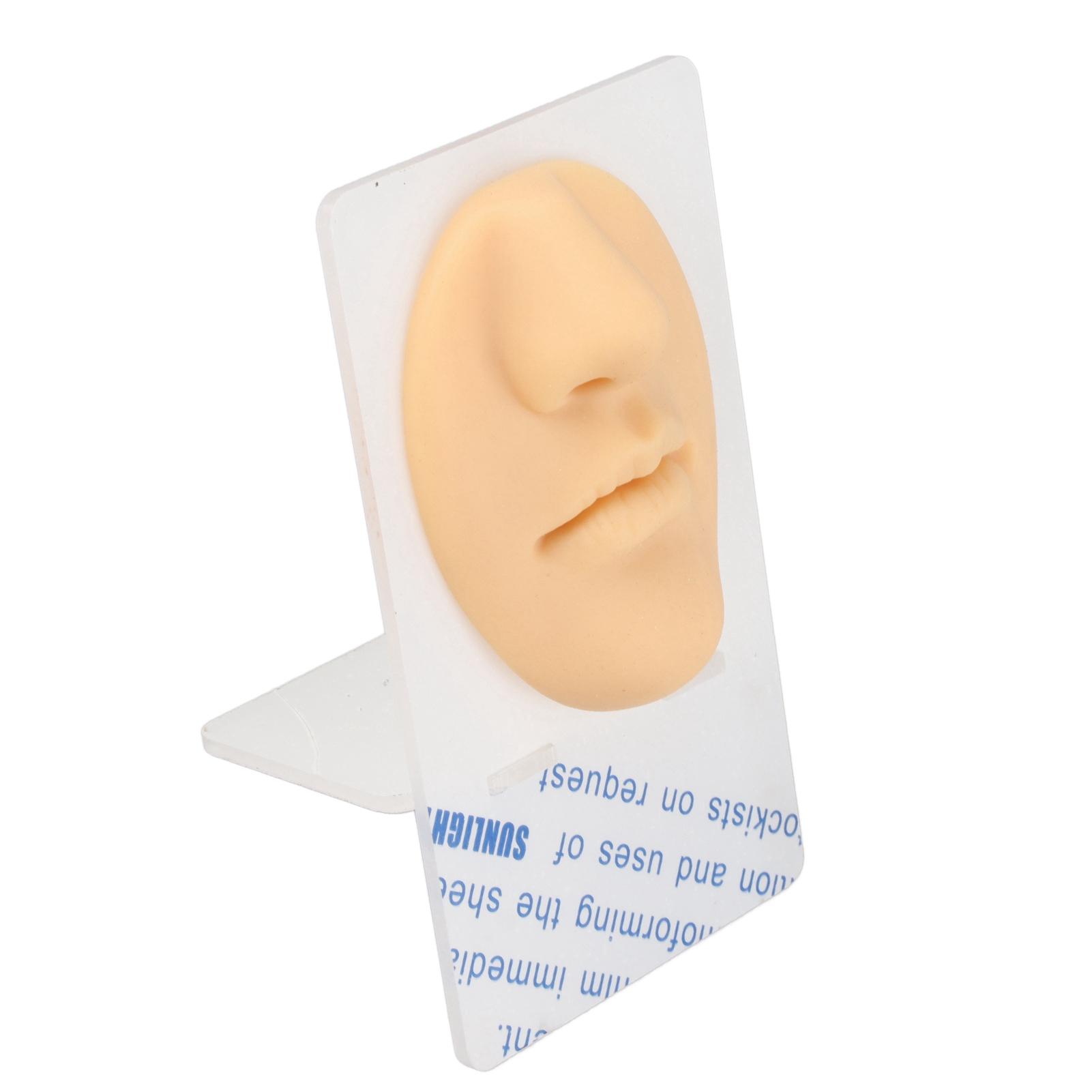 

Силиконовая модель рта и носа 3D реалистичная многоразовая модель для пирсинга носа цвет кожи естественный