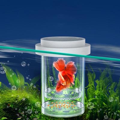 Schwimmende Fischzucht-Isolationsbox aus Kunststoff für Aquarien, Züchter, Futterspender für Aquarien, Brutinkubator, Zubehör für Aquarien