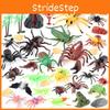 Detailed Static Pvc Insect Model Collection Featuring Frogs Ants Centipedes And Bees