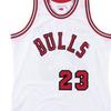 Mitchell & Ness NBA AU 84-85 23 Men's AJY4CP18187-CBUWHIT84MJO