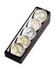 Yamako Small Plate Set of 5 Pieces Cat Plate Set of 5 Pieces