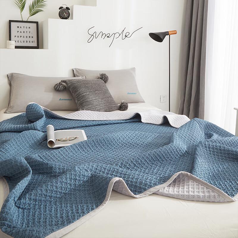 Tianqin Dolog Ice Silk Summer Cooling Quilt