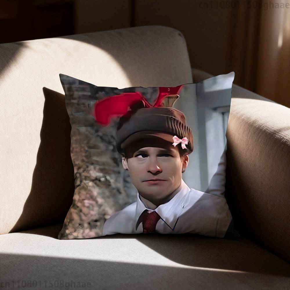 Classic House MD Pillow Case Antidustmite Pillowcase Invisible zipper silky short plush Sofa cushion cover