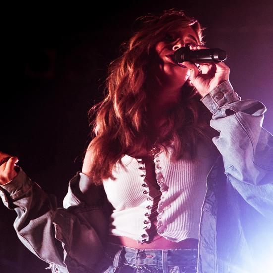 E300 Condenser Microphone Professional High Fidelity Portable Handheld Recording Microphone with Audio Cable for Live Streaming