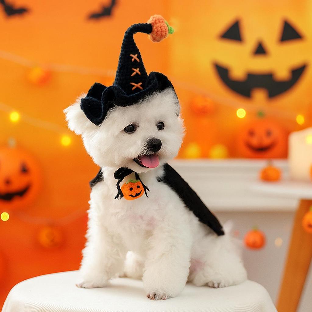 Halloween Hexenhut für kleine Haustiere - Stilvolles Wollaccessoire für Hunde & Katzen
