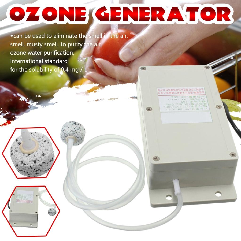 AC220V/50Hz 500mg Air Purifier Disinfecti Air Food Fruit Vegetable Water Fish Tank Disinfector