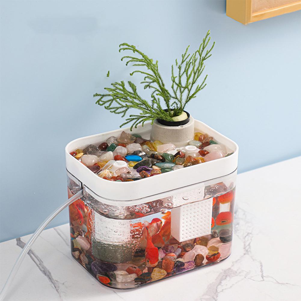Fish Tank With Lid Small Transparent Fish Tank With USB Air Pump Ecological Aquarium Tanks For Living Room Home Desktop Decor
