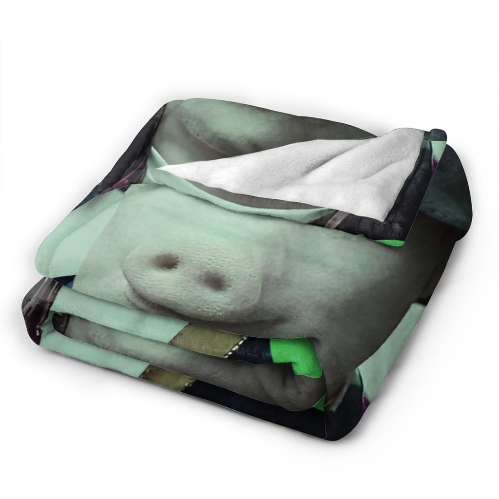 Weiche Warme DeckenKinder Flugzeugreise John Pork Ruft Kunst Überwurfdecke Flanel Tagesdecke für Couch Bett Grafische Bettdecke