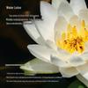 Tesori d'Oriente Water Lily Scented Shower Milk Set