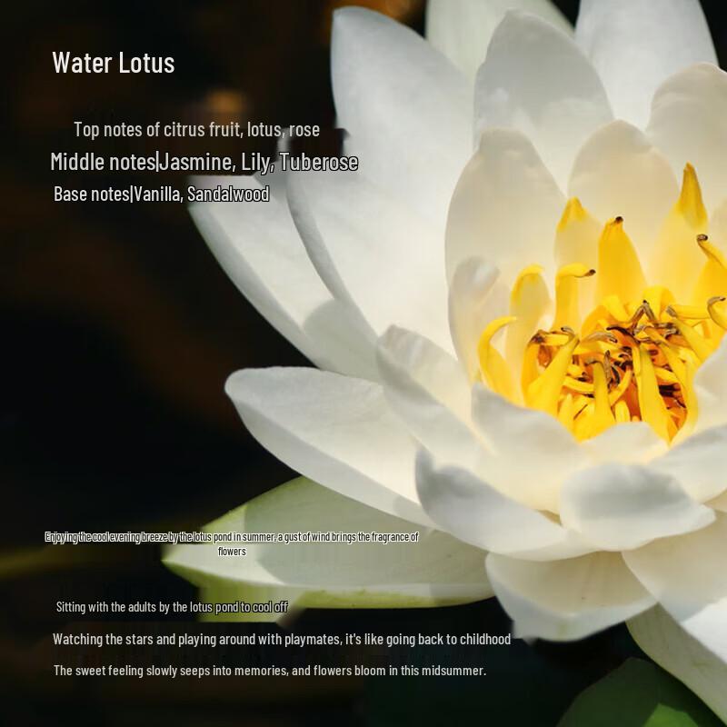 Tesori d'Oriente Water Lily Scented Shower Milk Set